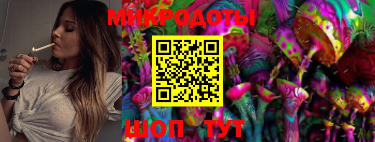 Псилоцибиновые грибы Cubensis Новороссийск