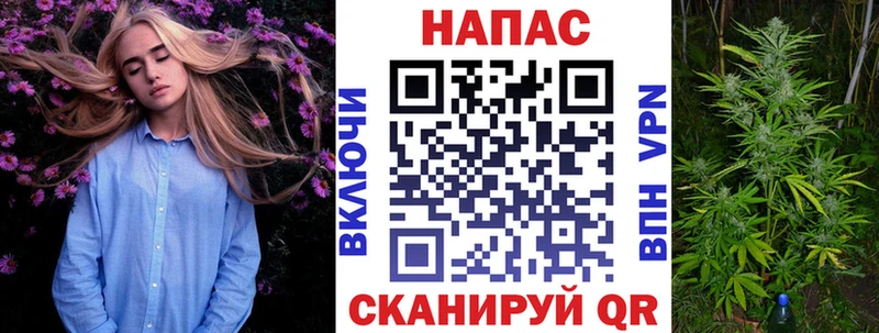 где найти   Новороссийск  Канабис марихуана 