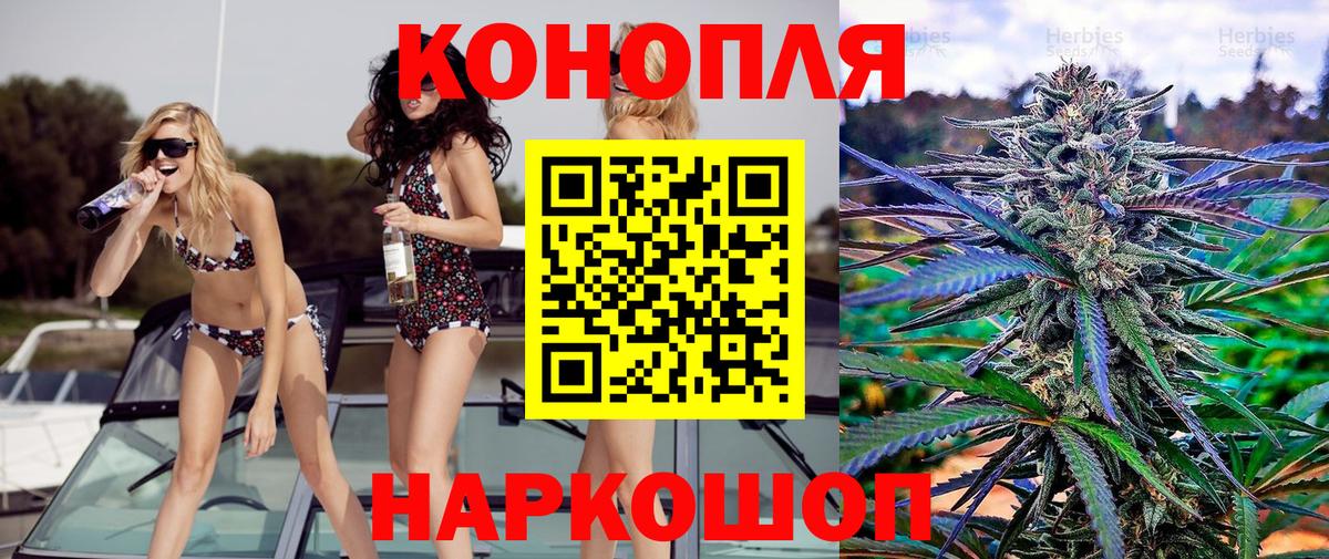 Конопля план  Вход с VPN  Марихуана Bruce Banner  Новороссийск  Марихуана OG Kush 
